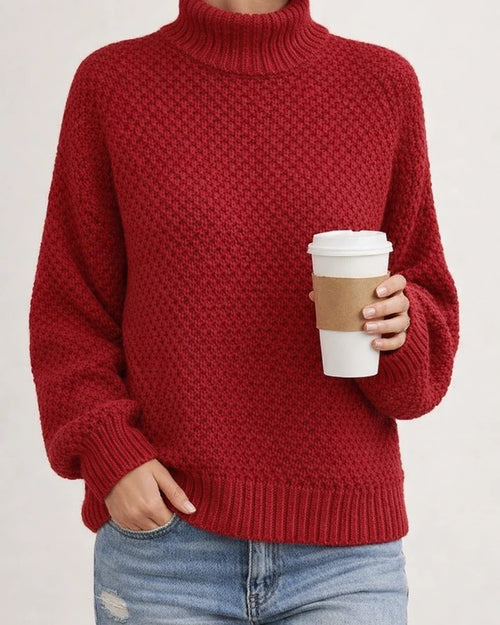 Women's Sweater Stripe Solid Color Basic Casual Long Sleeve Sweater Cardigans Turtleneck Fall Winter Navy Deep burgundy Khaki White Gray | JRSEE:cd4c2654-abd1-4ac4-9f97-4dae32493a4a
